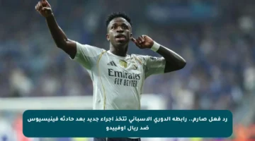 رد فعل صارم.. رابطة الدوري الإسباني تتخذ إجراء جديد بعد حادثة فينيسيوس ضد ريال أوفييدو